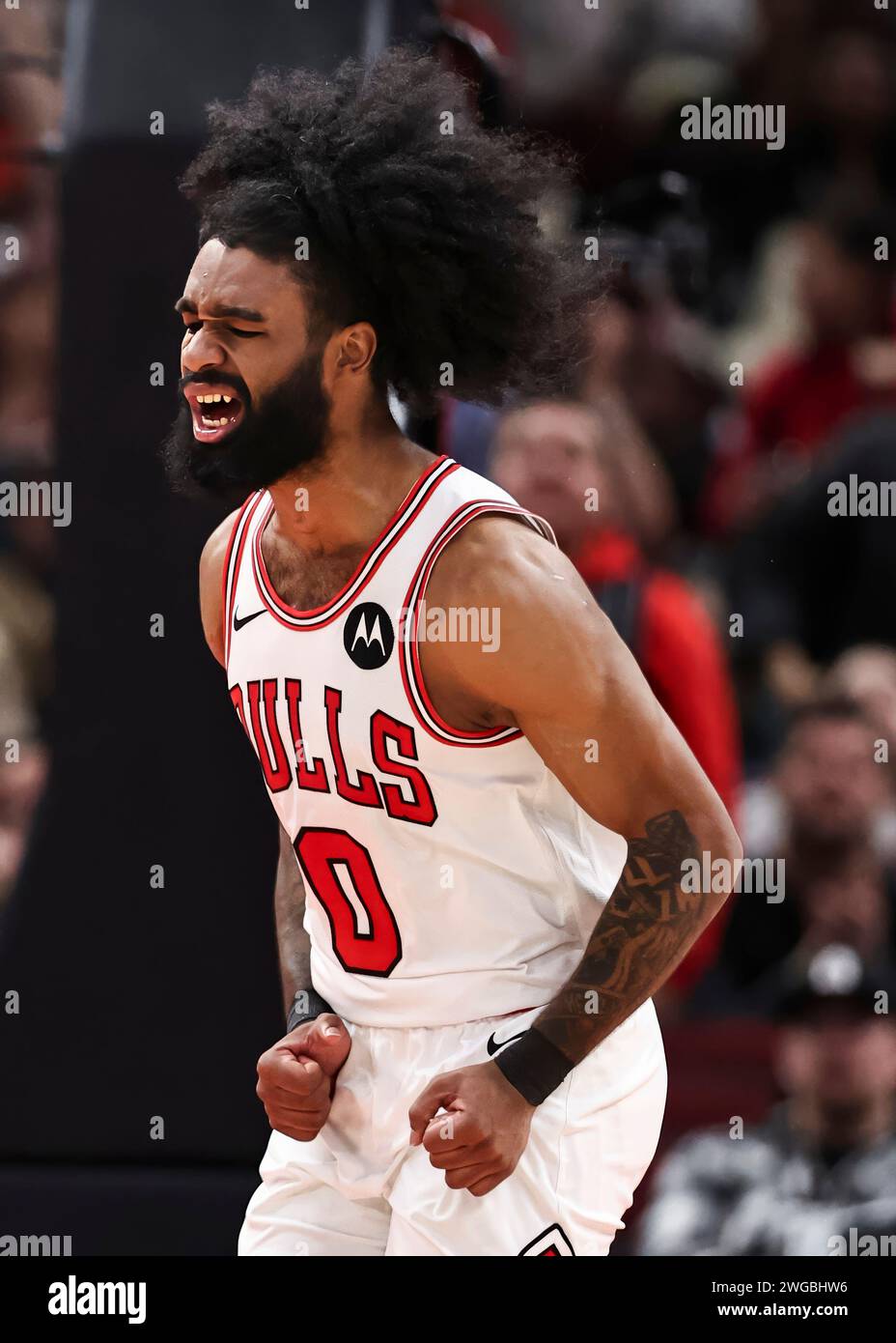 Chicago, USA. 3rd Feb, 2024. Chicago Bulls guard Coby White celebrates during the NBA regular season game between Sacramento Kings and Chicago Bulls in Chicago, the United States, Feb. 3, 2024. Credit: Joel Lerner/Xinhua/Alamy Live News Stock Photo