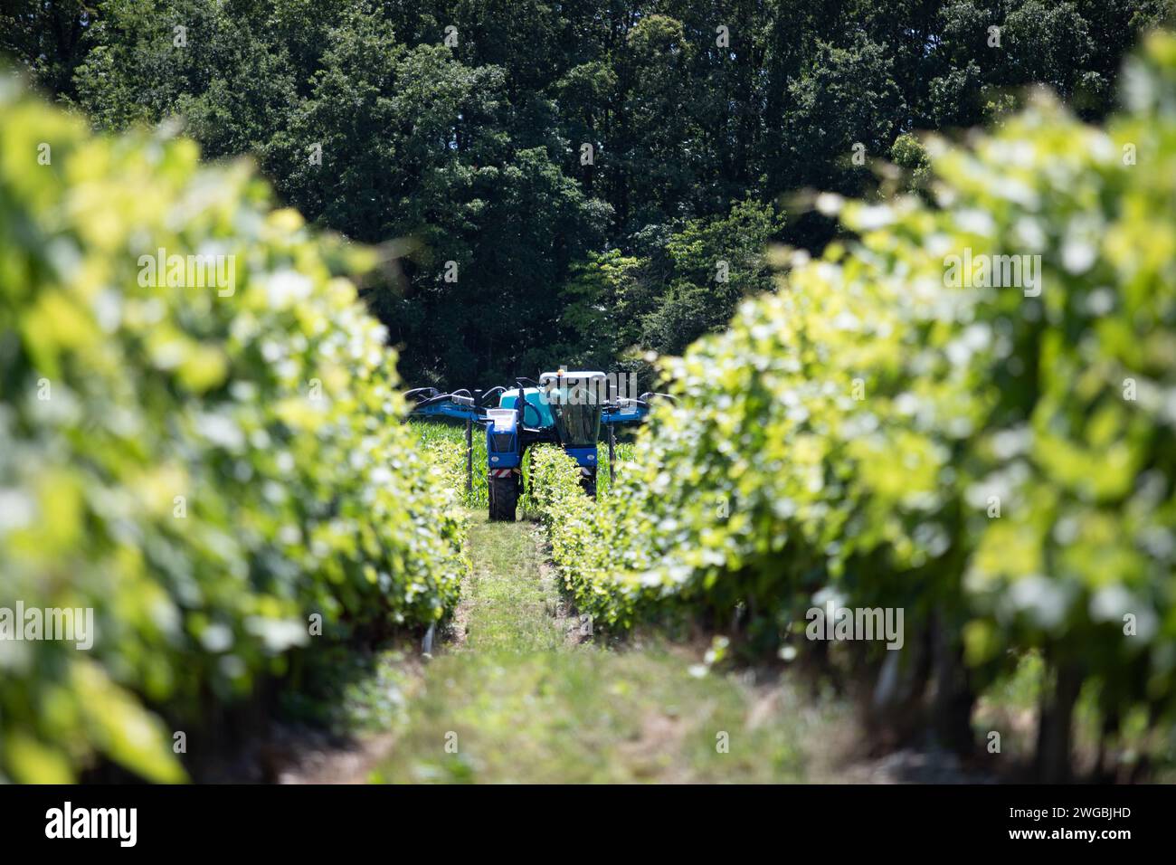 machines agricole Stock Photo