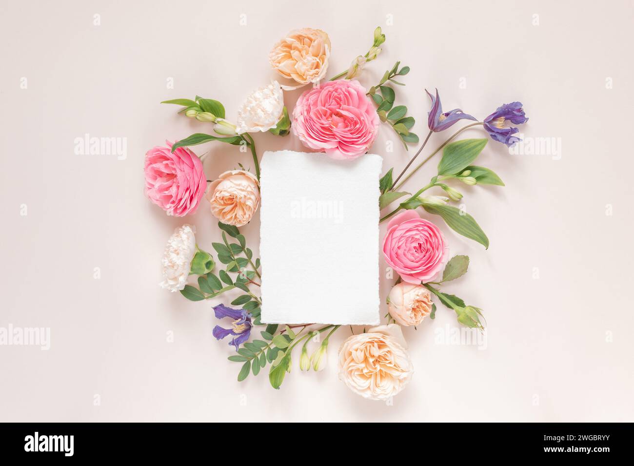 Overhead view of roses, chrysanthemums and alstroemeria flowers arranged around a blank white card Stock Photo