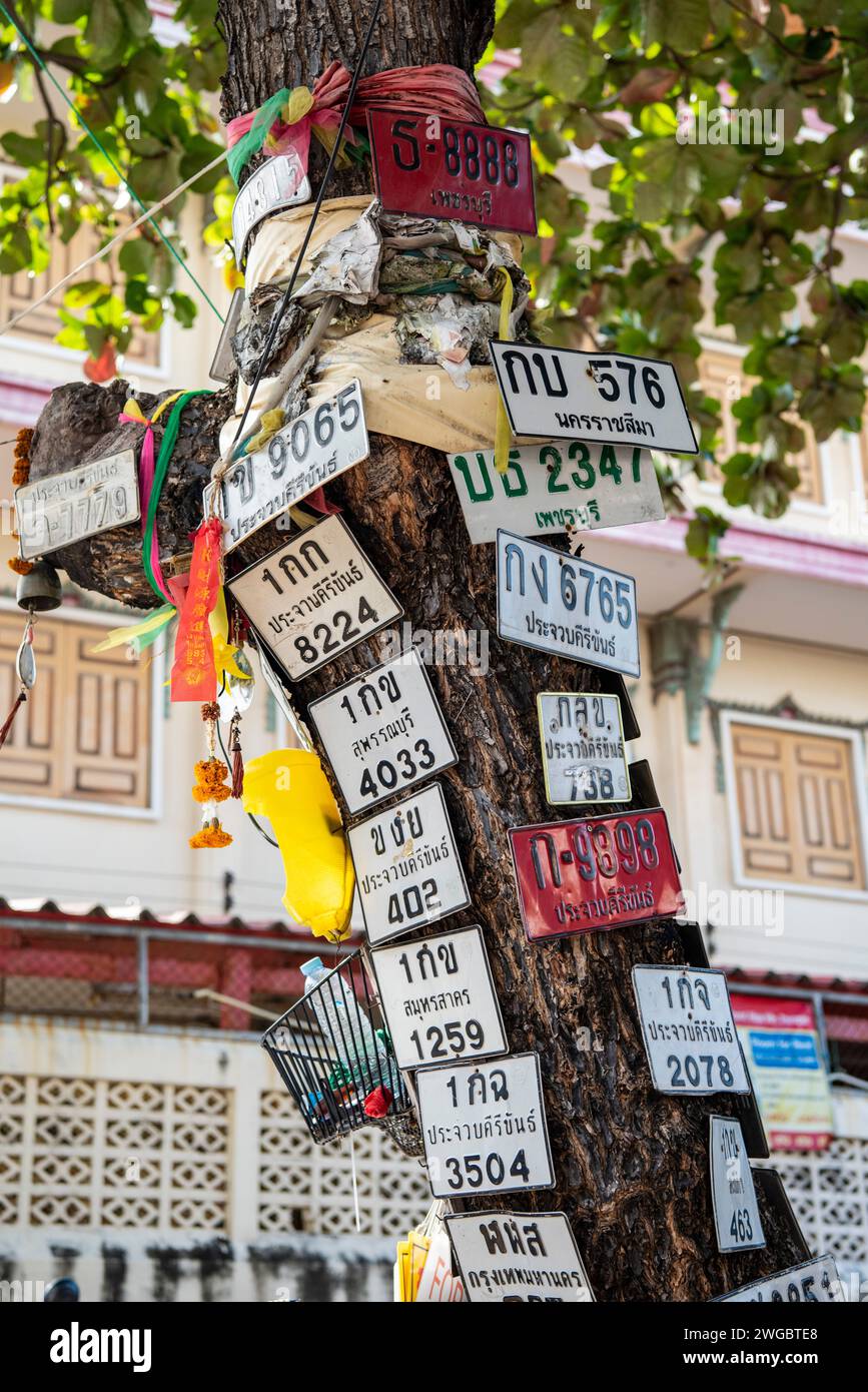 Motorbike number plate on a tree in the City of Hua Hin in the Province of Prachuap Khiri Khan in Thailand,  Thailand, Hua Hin, December, 2023 Stock Photo