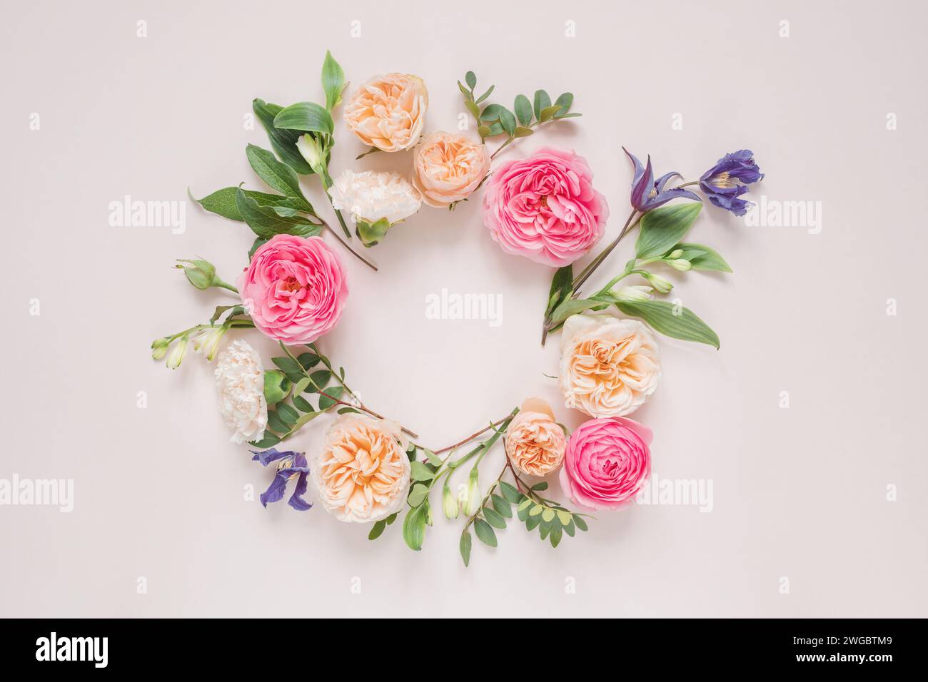 Overhead view of a circular Floral arrangement of roses, chrysanthemums, alstroemeria flowers and foliage on a pink background Stock Photo