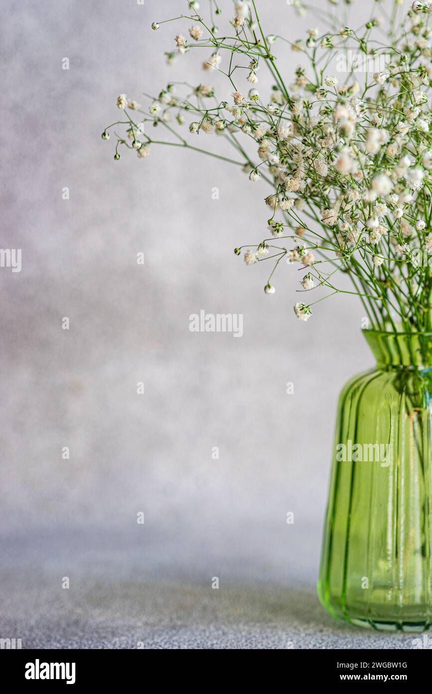 Close-up of a bunch of white Gypsophila flowers in a green glass vase on a table Stock Photo