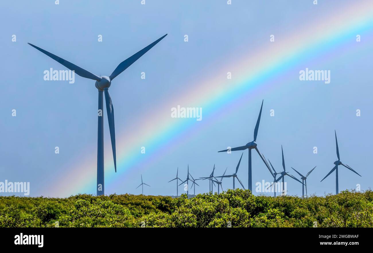 Rainbow over Wind Turbines on a coastal wind farm, Albany, Western Australia, Australia Stock Photo