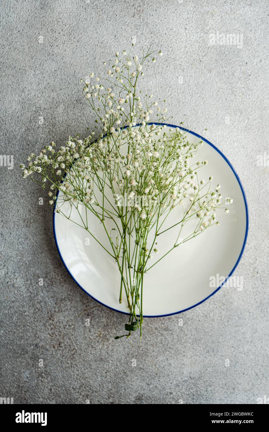 Overhead view of White gypsophila flowers on a plate Stock Photo