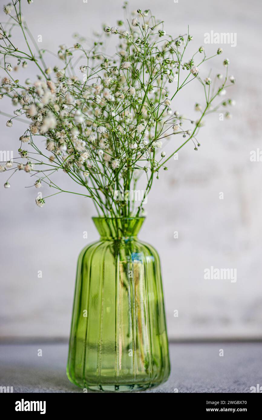 Close-up of a bunch of  white Gypsophila flowers in a green glass vase on a table Stock Photo