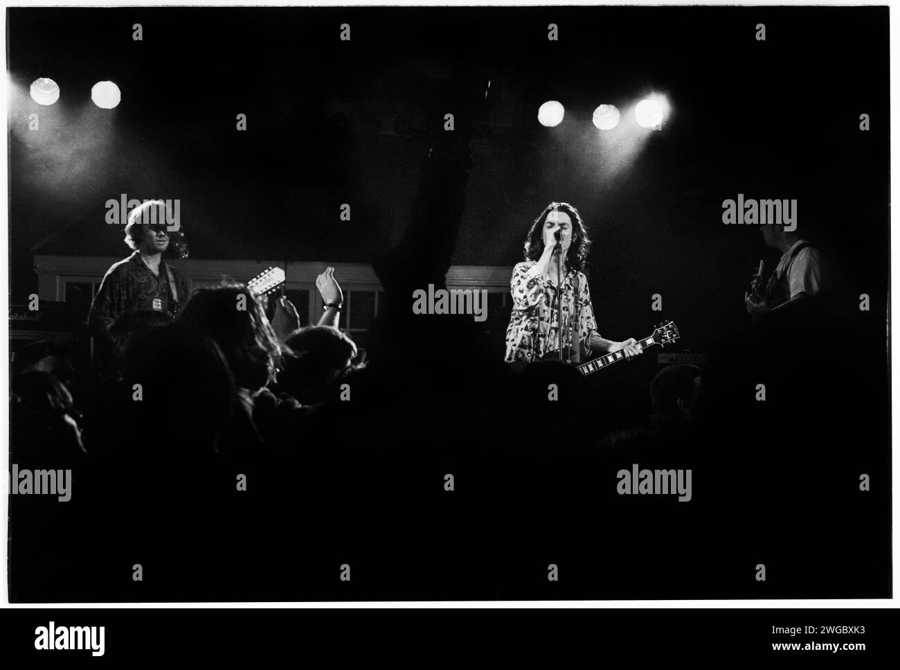 Family with cat uk Cut Out Stock Images & Pictures Alamy