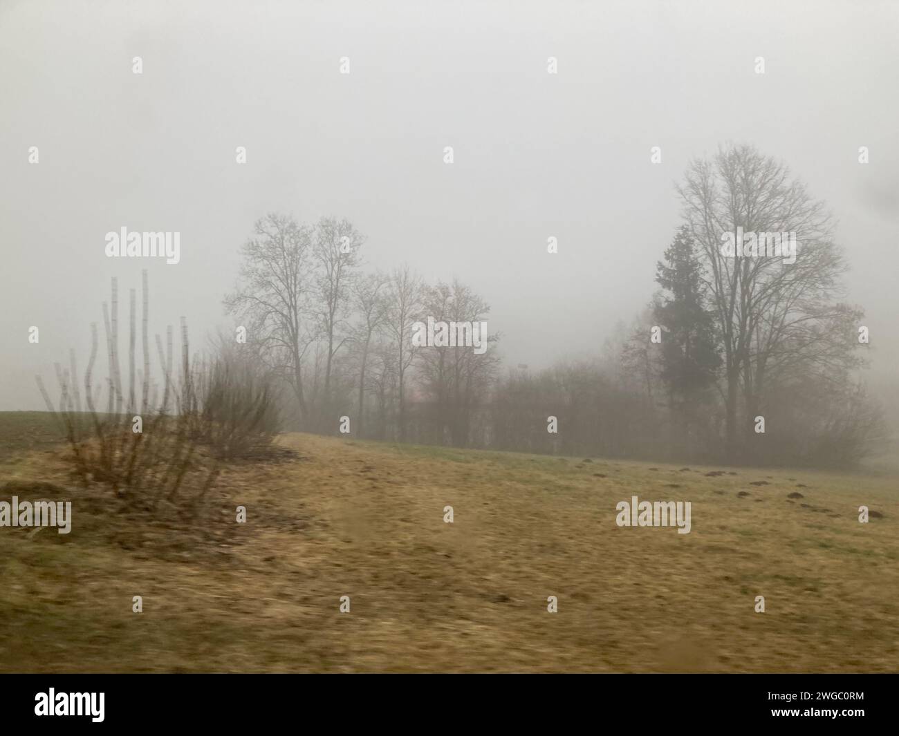 A misty fog envelops a field and trees on a dreary day Stock Photo