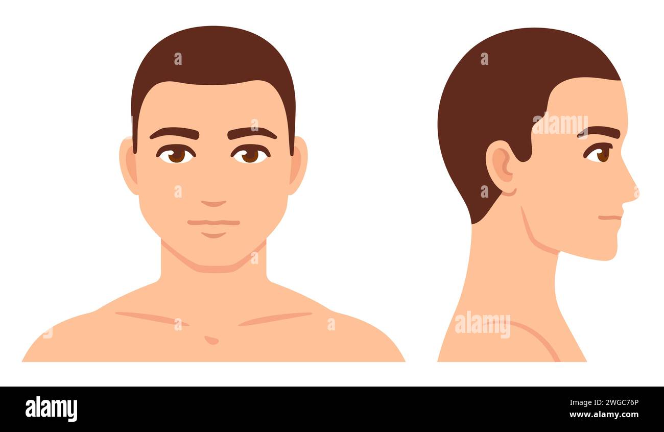 Male face and head profile diagram, simple flat cartoon style. Man head template for beauty and healthcare infographic. Isolated vector illustration. Stock Vector
