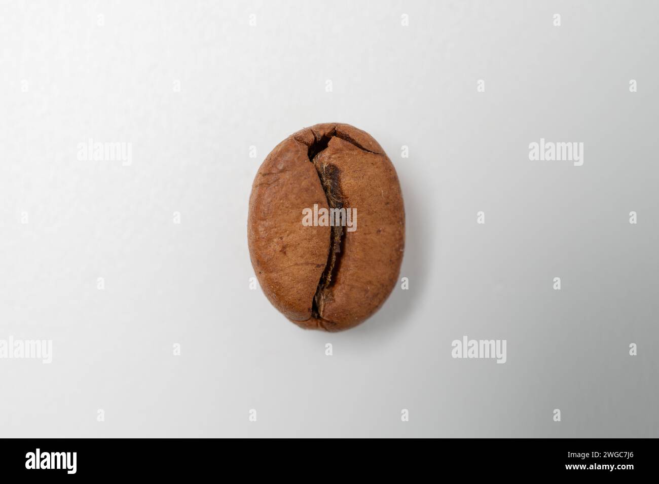 , Food, 04.02.2024,  Einzelne geröstete Kaffeebohne in Makroaufnahme, perfekt zentriert auf einem weißen Hintergrund, ideal für Artikel, die sich auf Stock Photo