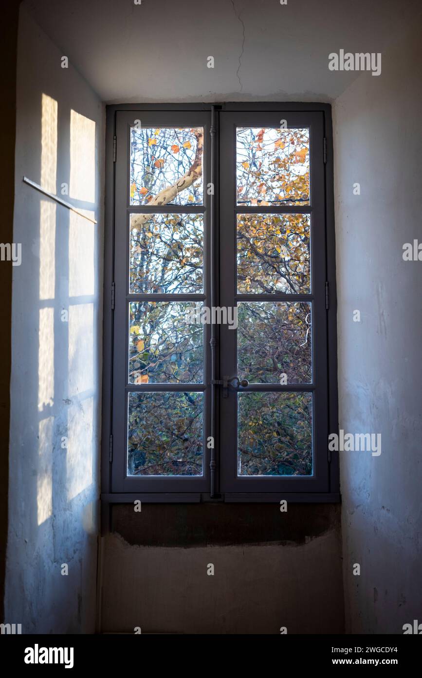 Window overlooking dense garden Stock Photo