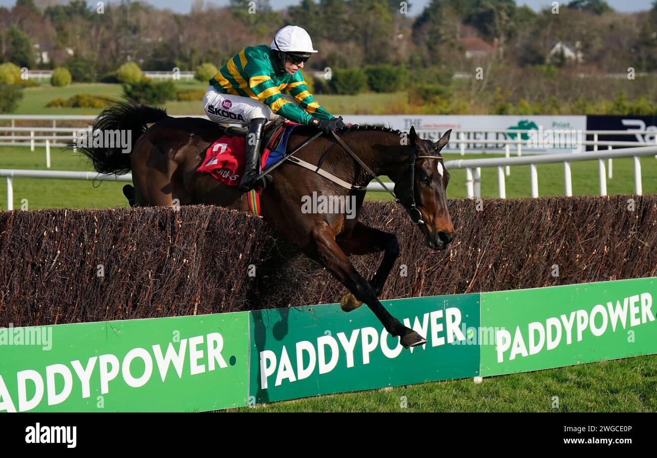 Fact to File ridden by Mark Walsh jumps the last to win The Ladbrokes Novice Steeplechase during day two of the 2024 Dublin Racing Festival at Leopardstown Racecourse. Picture date: Sunday February 4, 2024. Stock Photo