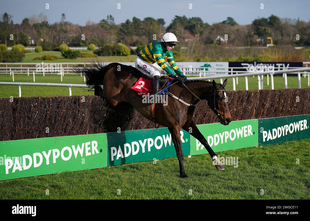 Fact to File ridden by Mark Walsh jumps the last to win The Ladbrokes Novice Steeplechase during day two of the 2024 Dublin Racing Festival at Leopardstown Racecourse. Picture date: Sunday February 4, 2024. Stock Photo
