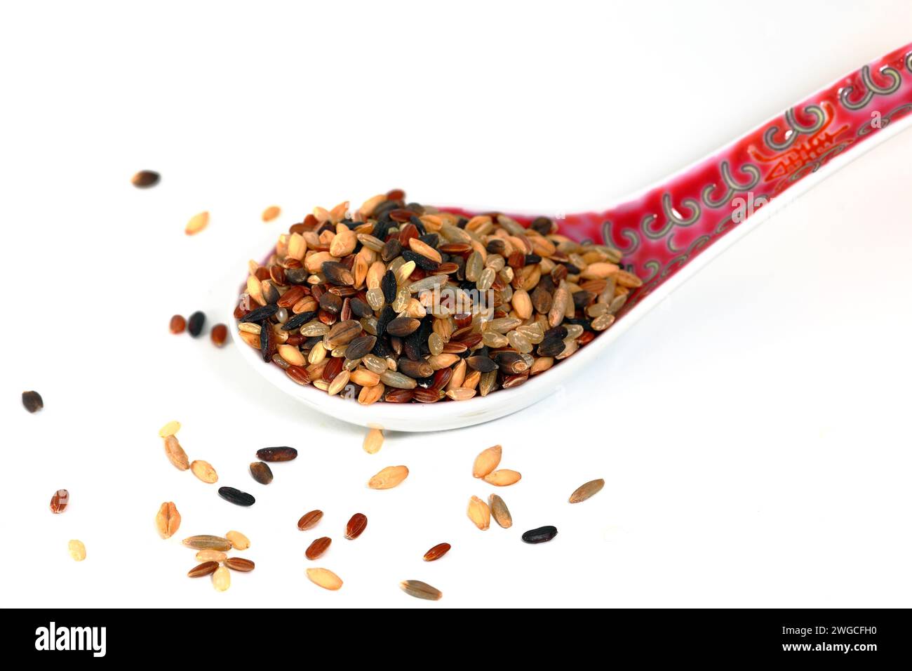 A soup spoon of 6 grain rice red rice,榖米 black rice, purple barley, hulless barley, rye beries, red rice, brown rice isolated on a white background. Stock Photo