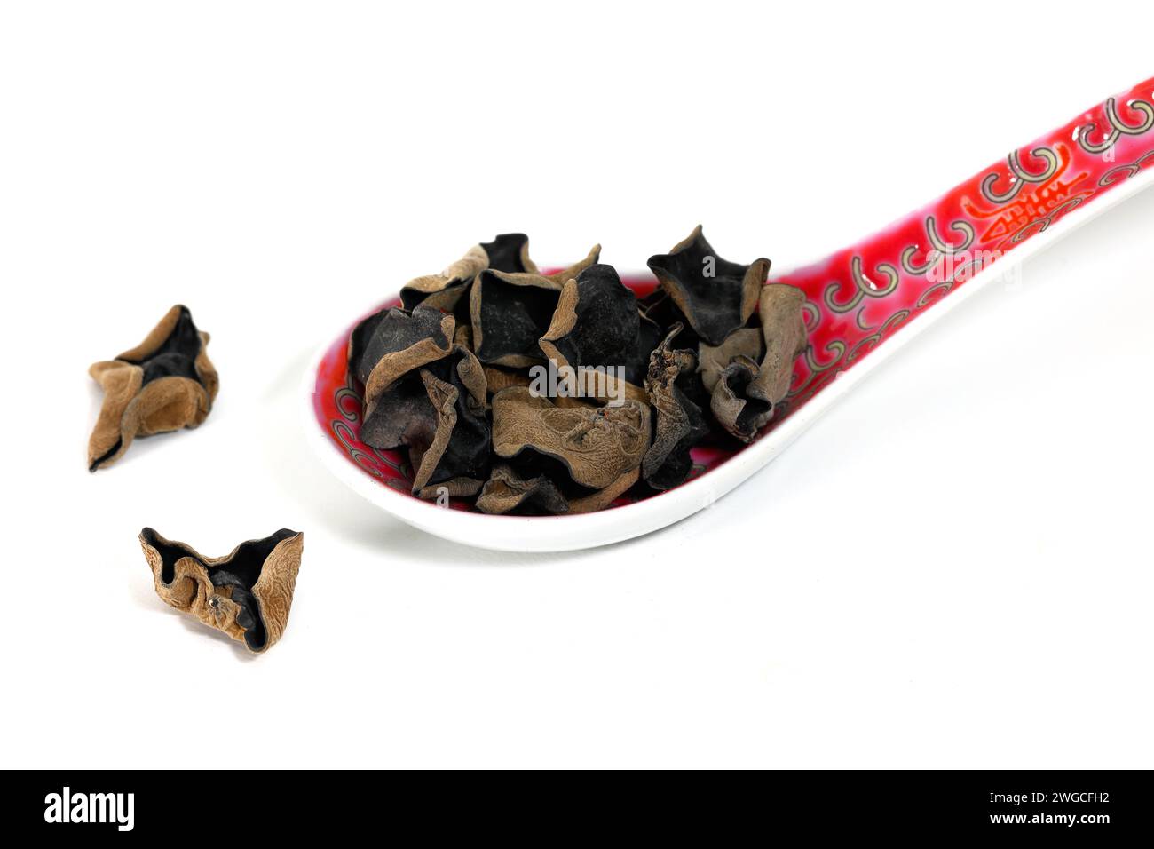 A soup spoon of dried cloud ear fungus (Auricularia cornea) 雲耳 isolated on a white background. 毛木耳 cloud ear fungus are similar to wood ear but darker Stock Photo