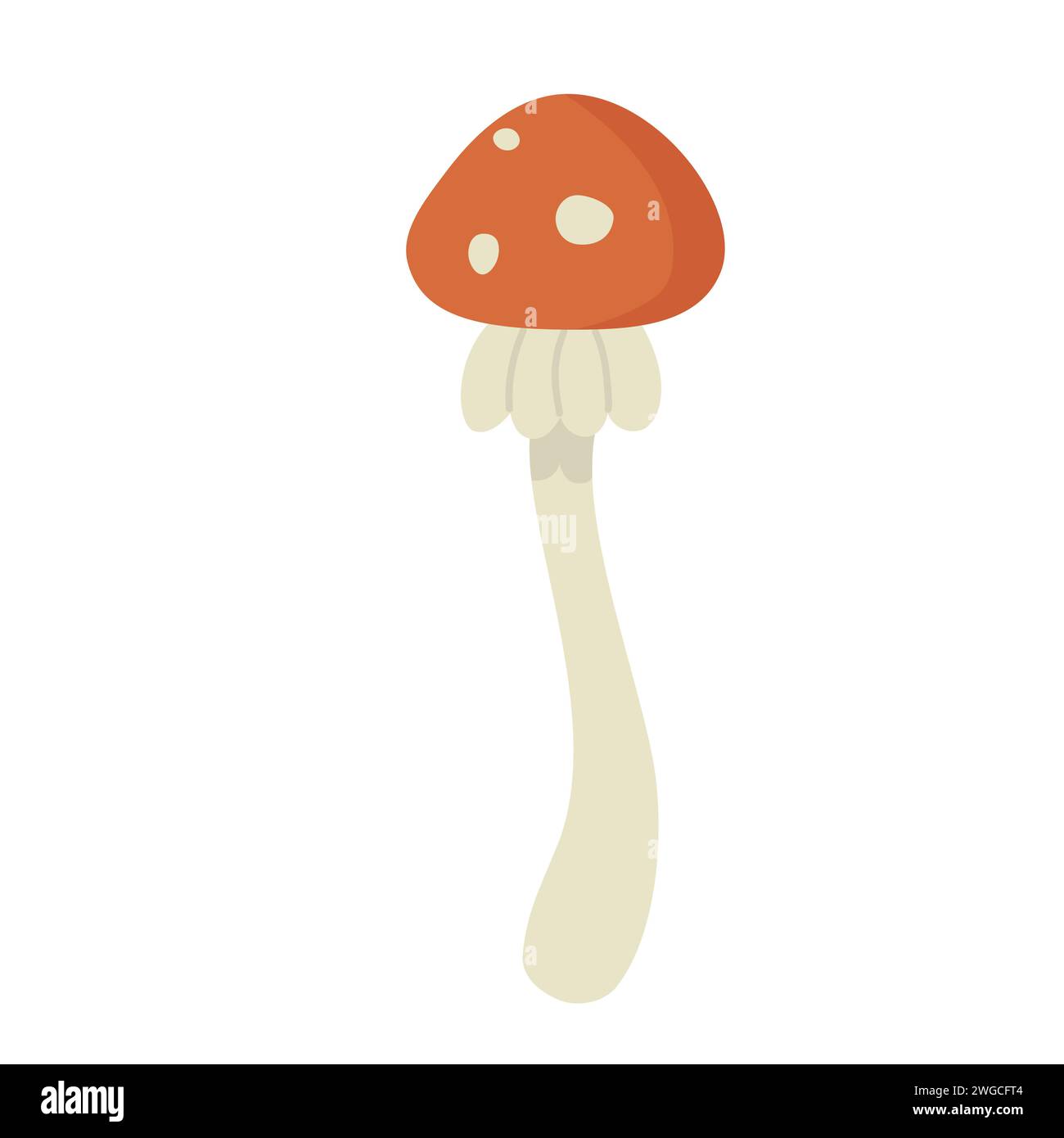 Toxic forest mushroom. Poisonous mushroom, amanita muscaria vector illustration Stock Vector