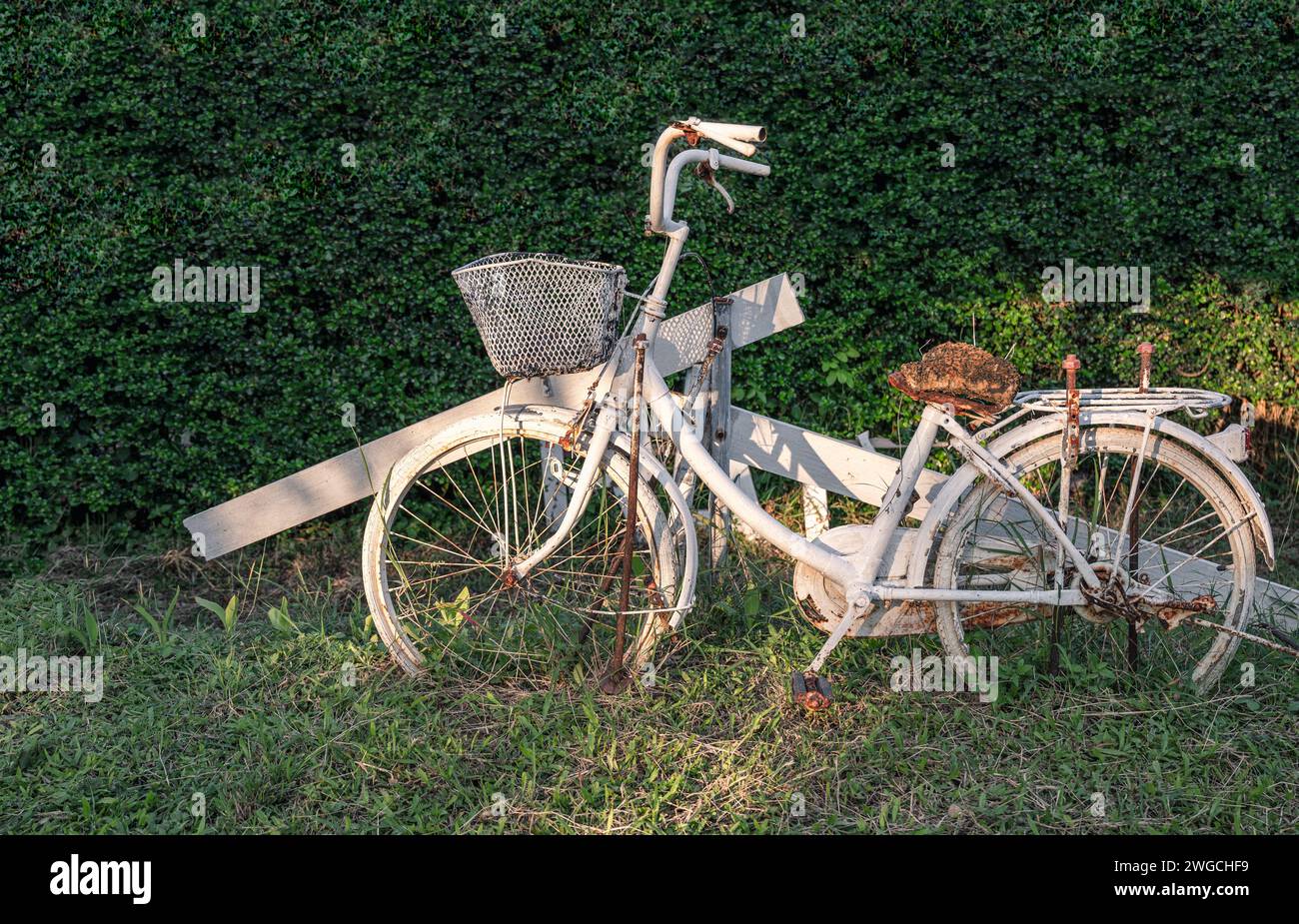 Antique white bike collection on green leaves background Stock Photo