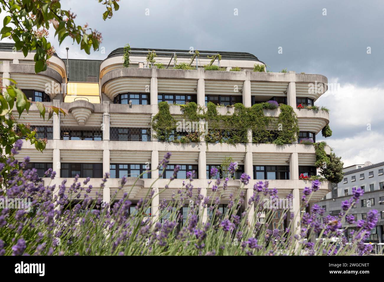 Neue Rathaus, Magistrat Der Stadt Linz OÖ, Austria Stock Photo - Alamy