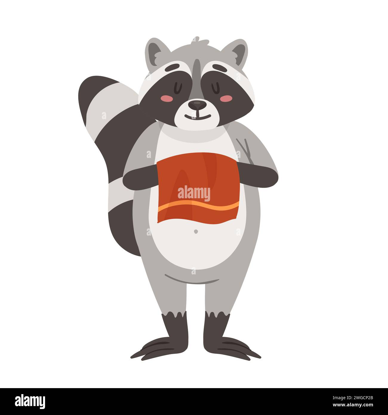 Cheerful raccoon holding towel. Cute raccoon in standing posture vector ...