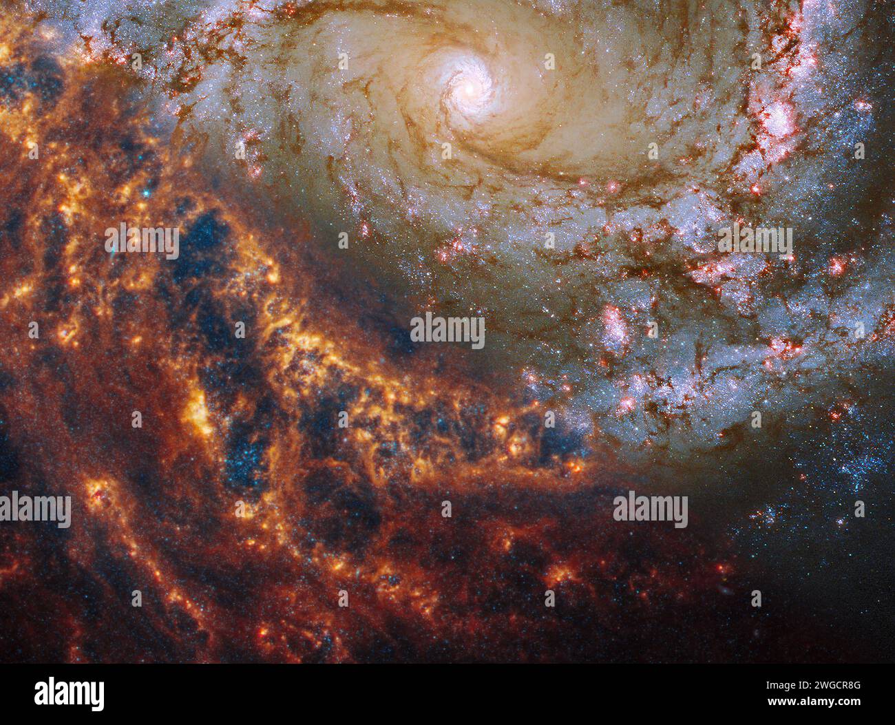 Face-on spiral galaxy, NGC 4303. Pink, orange and red galactic long-range captured imagery. Elements of this image furnished by NASA Stock Photo
