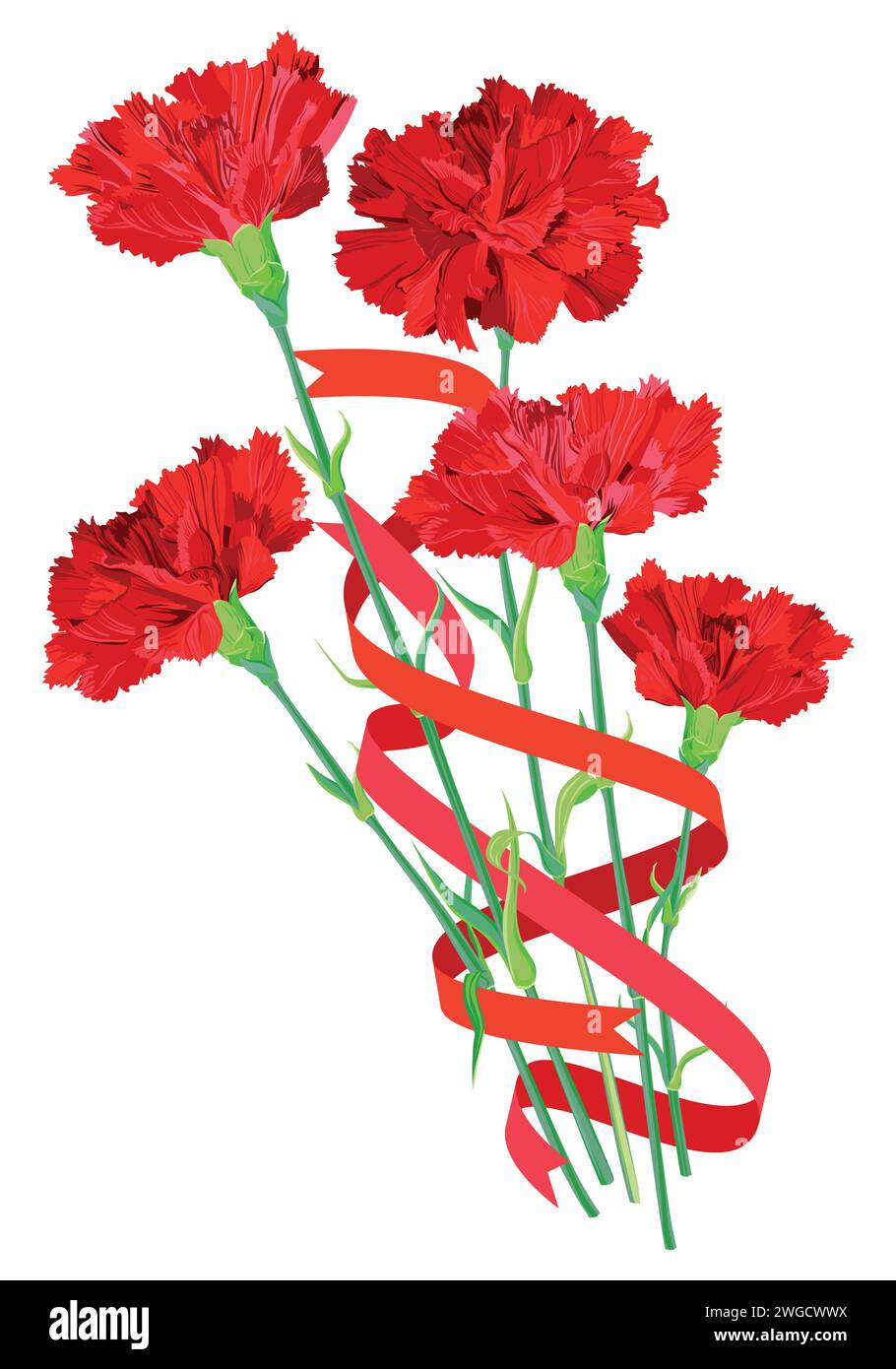 Bouquet of red carnations with festive ribbons on a white background. Vector flowers for greeting cards for Valentine's Day, Mother's Day. A gift for Stock Vector