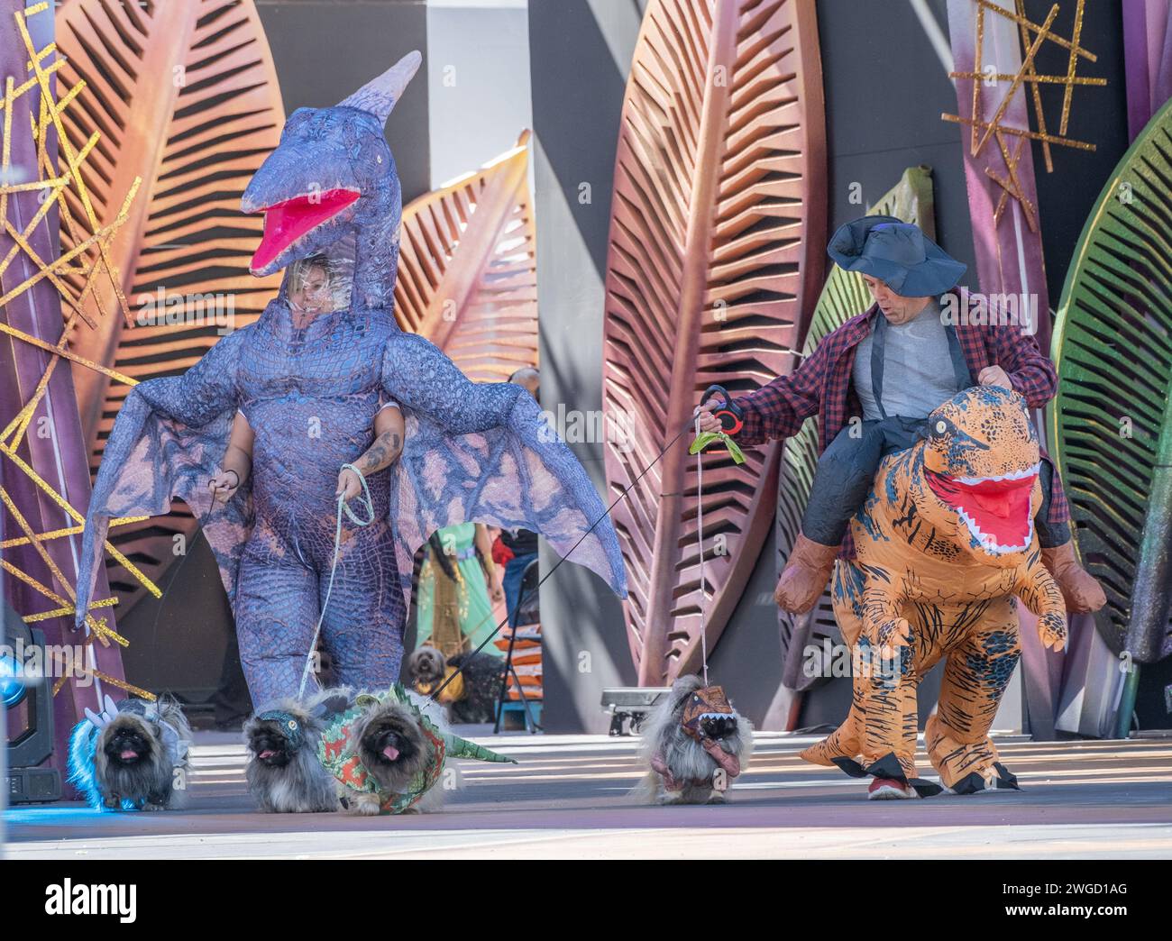 Gran Canaria, Canary Islands, Spain, 4th February 2024. Dog fancy dress