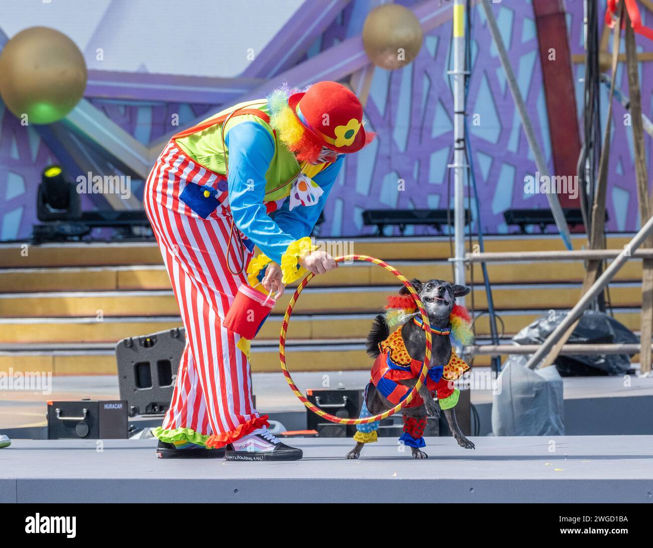 Gran Canaria, Canary Islands, Spain, 4th February 2024. Dog fancy dress