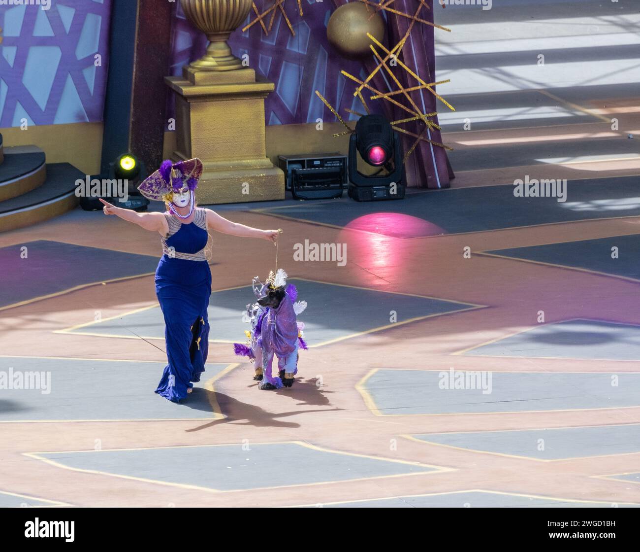 Gran Canaria, Canary Islands, Spain, 4th February 2024. Dog fancy dress