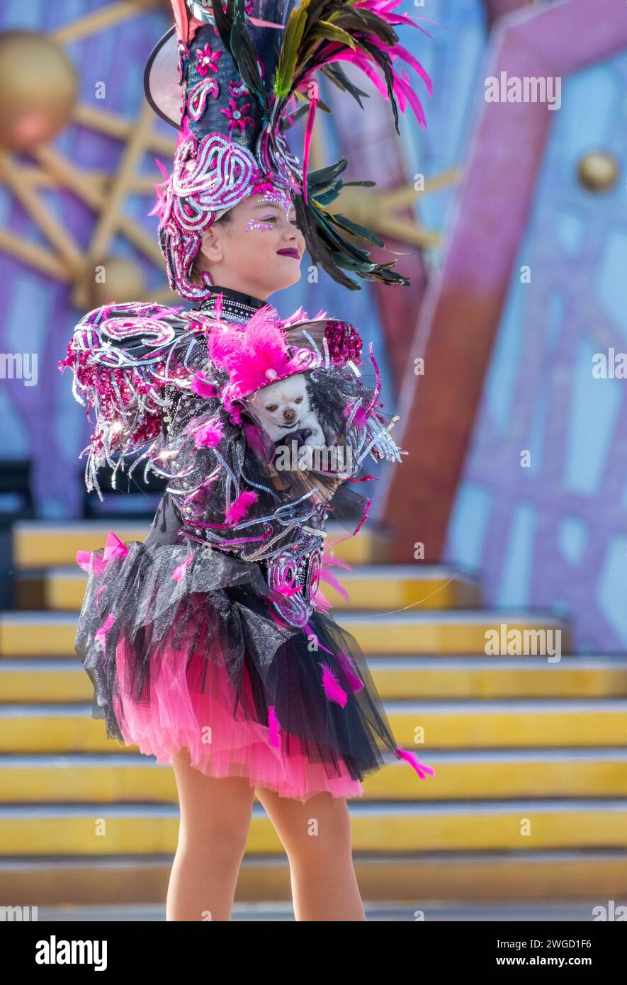 Gran Canaria, Canary Islands, Spain, 4th February 2024. Dog fancy dress