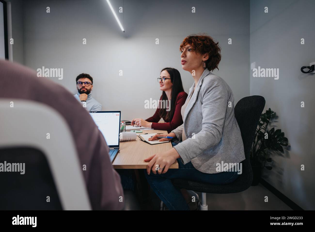 Business professionals collaborating in a creative office. Stock Photo