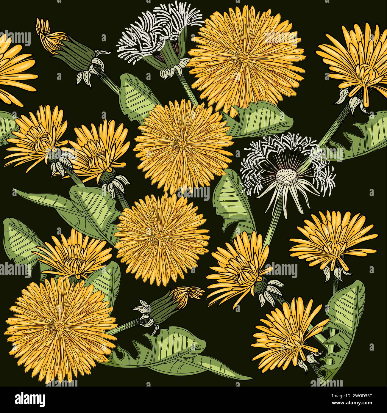 Seamless pattern dandelion flower head hand drawn colorful sketch for drawing book vector illustration on brown background Stock Vector