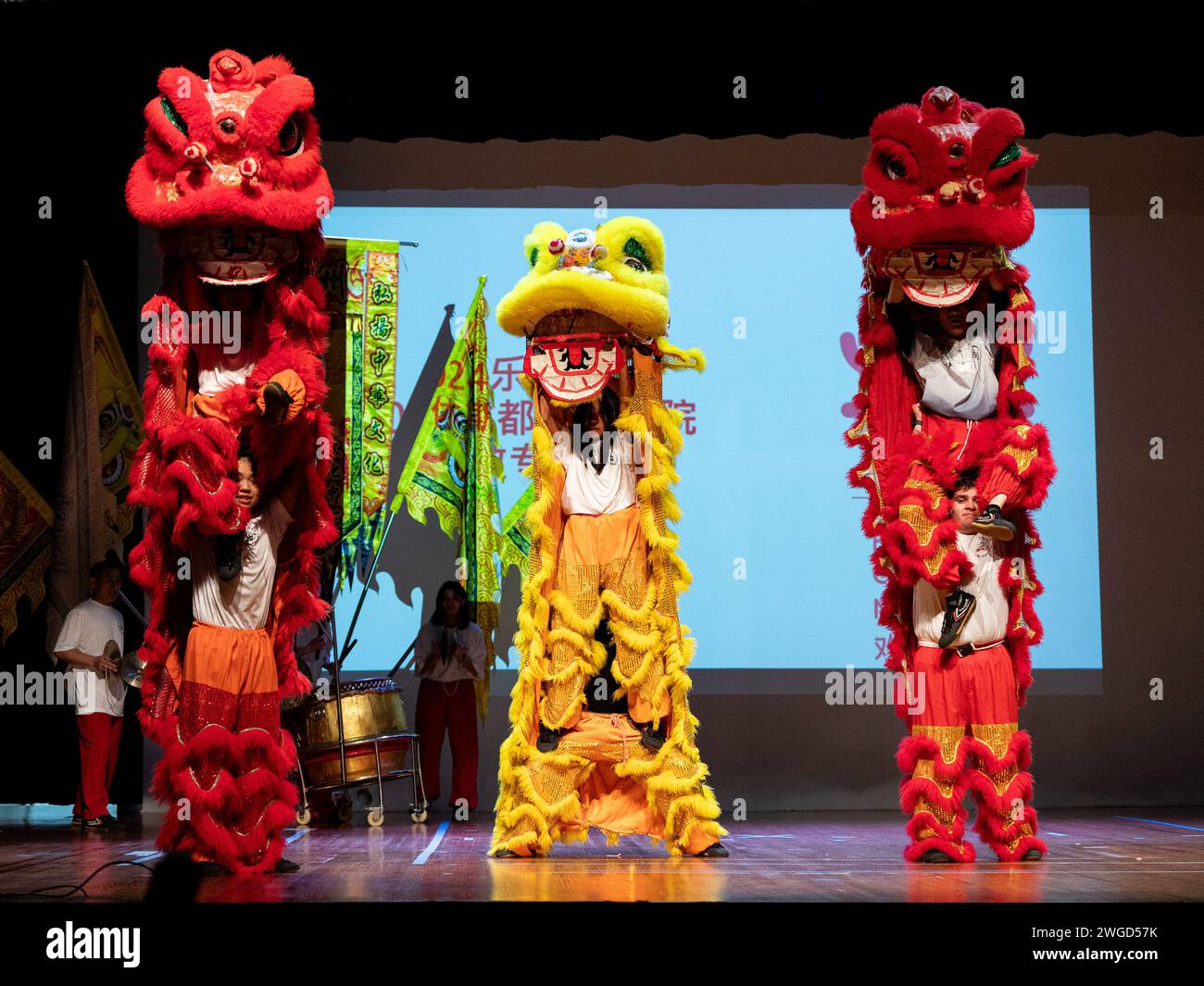 Happy new year 2024 lion hires stock photography and images Alamy