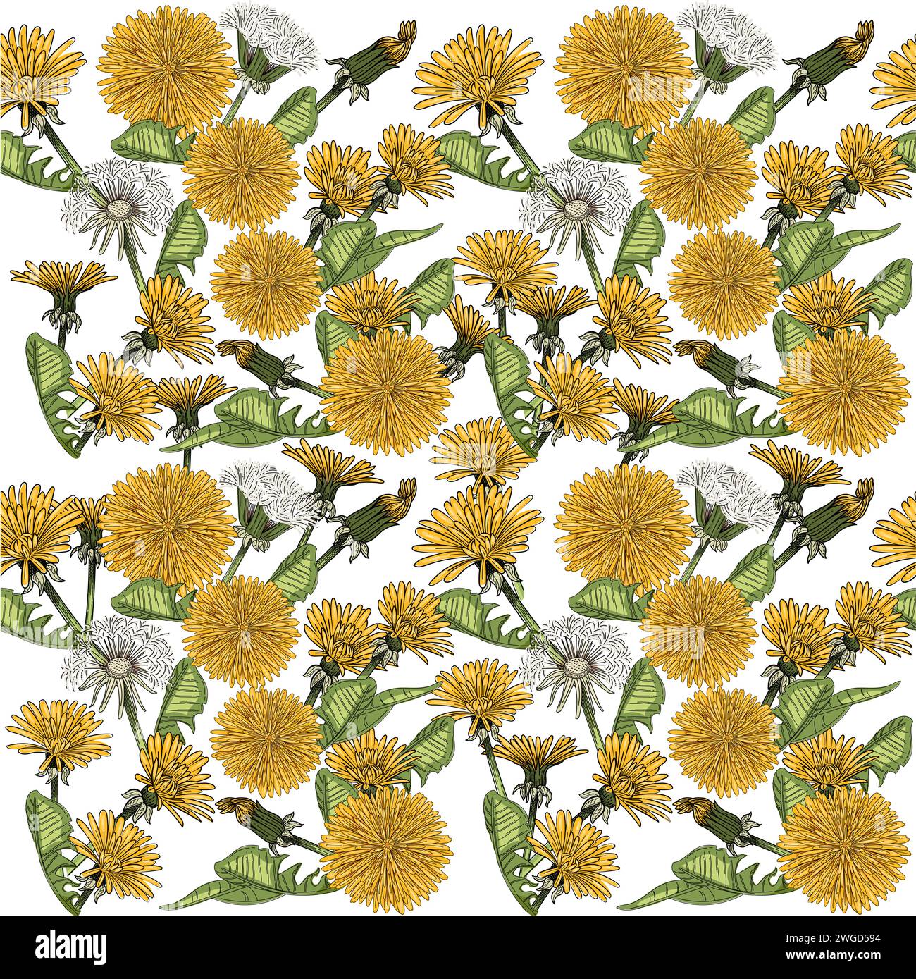 Seamless pattern dandelion flower head hand drawn colorful sketch for drawing book vector illustration on white background Stock Vector