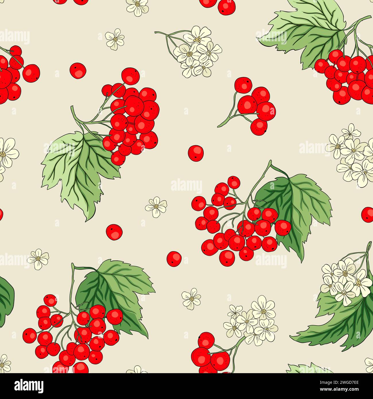 Rowan tree in flower Stock Vector Images - Alamy