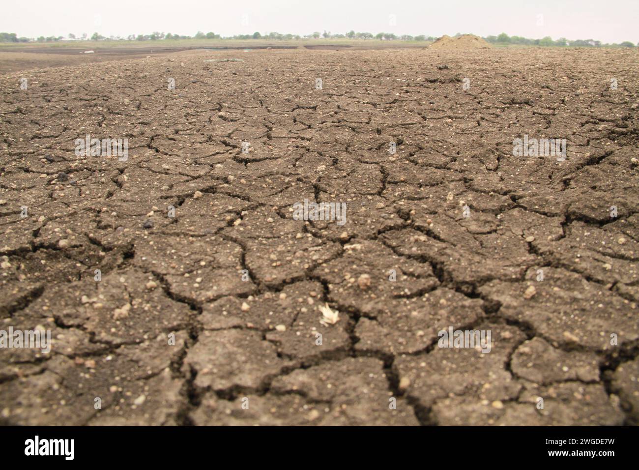 The Warapgaon village, located in Beed district’s Ambajogai taluka, was in the grip of a deadly drought in 2015. Residents either had to walk long distances to fetch water or were dependent on tankers. That year, Beedrecorded only 297mm of rainfall while the state average stood at 678mm. Ambajogai, Maharashtra. India. Stock Photo