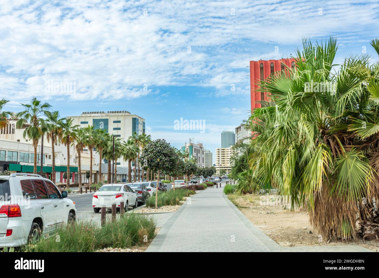 Jeddah downtown central district street with parked cars along the road, palms and modern buildings in the background, Saudi Arabia Stock Photo