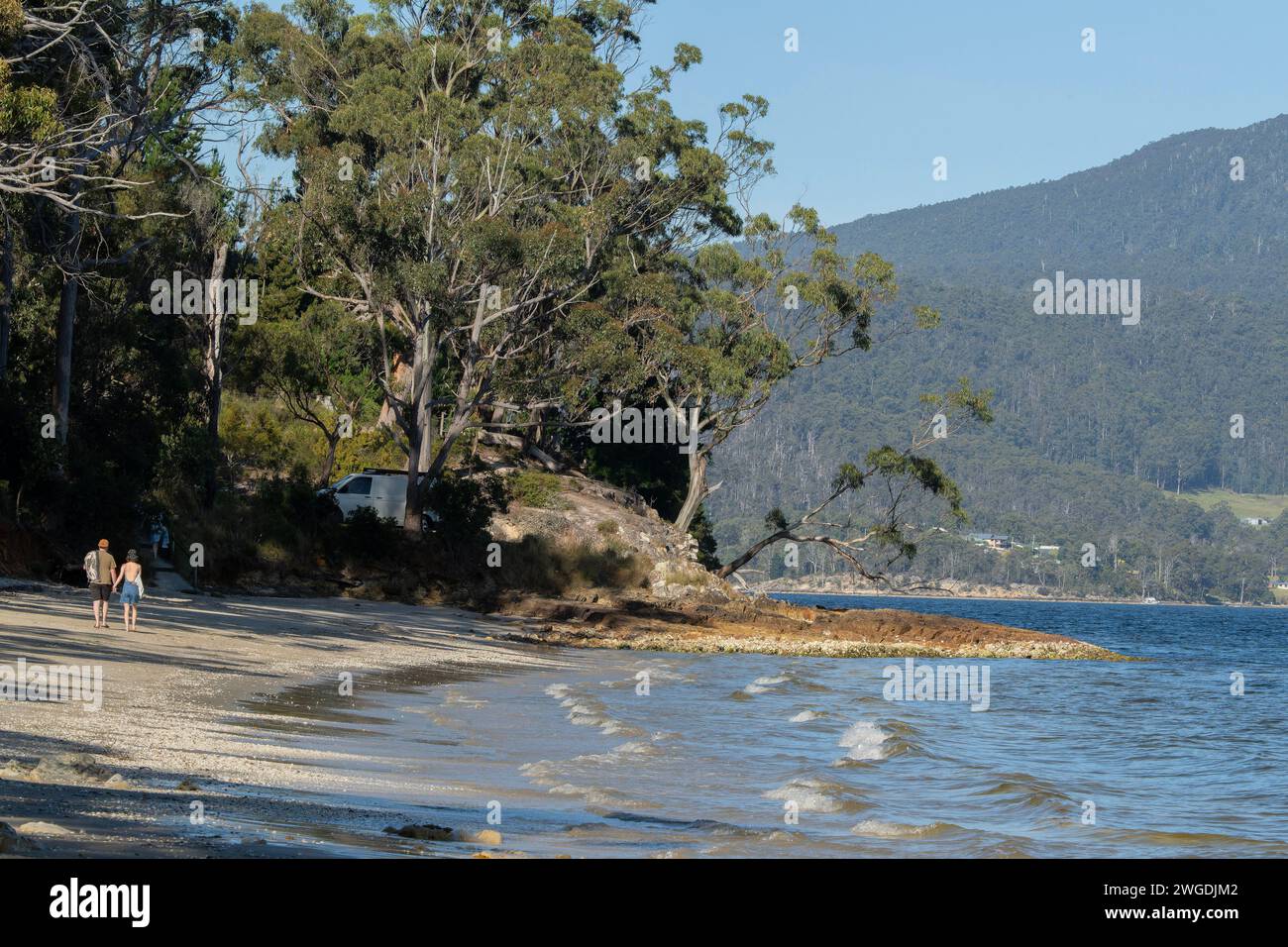Drip Beach, southern Tasmania, near Cygnet.Australia. Stock Photo
