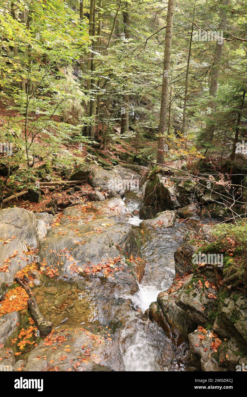 Wandern im bayerischen wald hi-res stock photography and images - Alamy