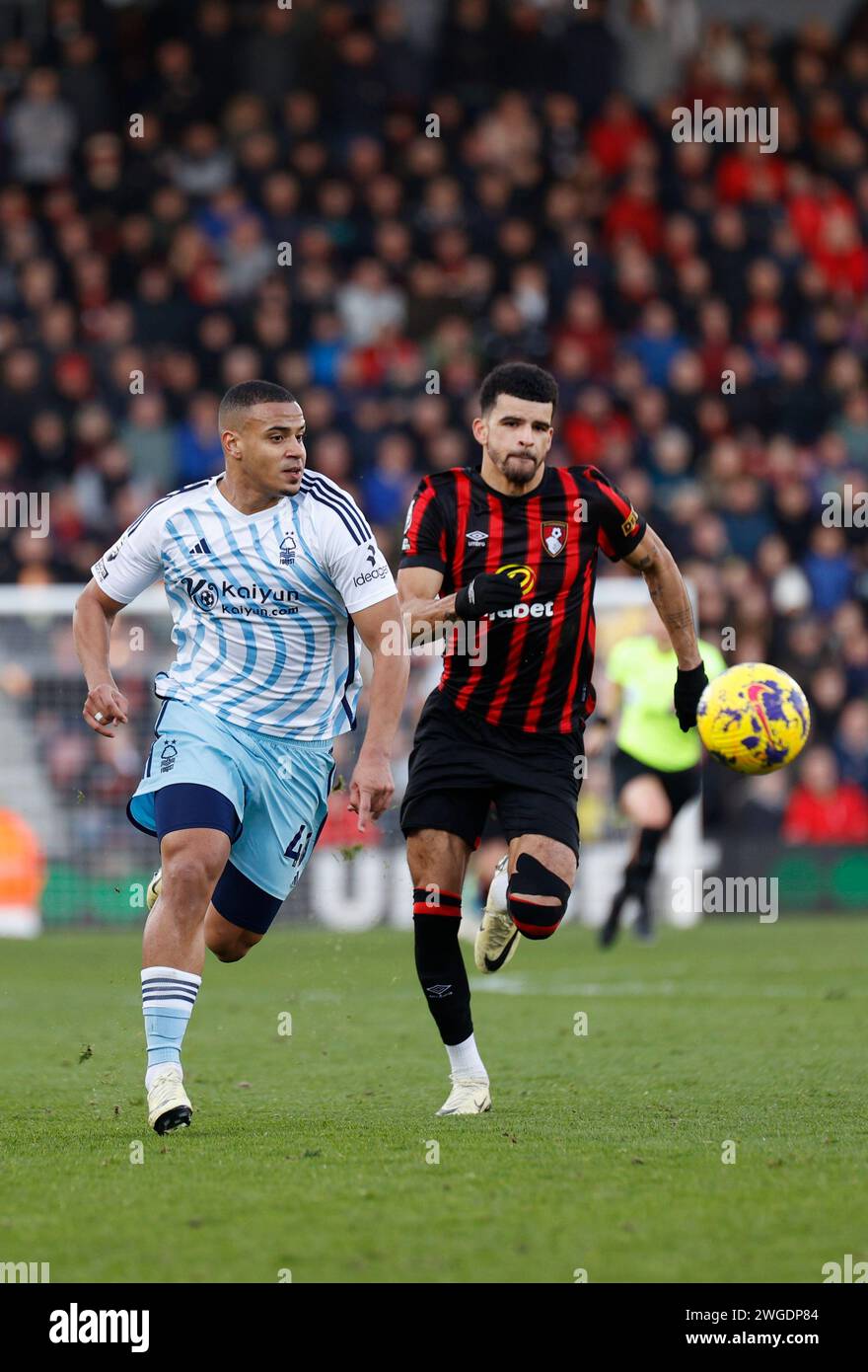 Vitality Stadium, Boscombe, Dorset, UK. 4th Feb, 2024. Premier League Football, AFC Bournemouth versus Nottingham Forest; Murillo of Forest takes control of ball from Solanke of Bournemouth Credit: Action Plus Sports/Alamy Live News Stock Photo