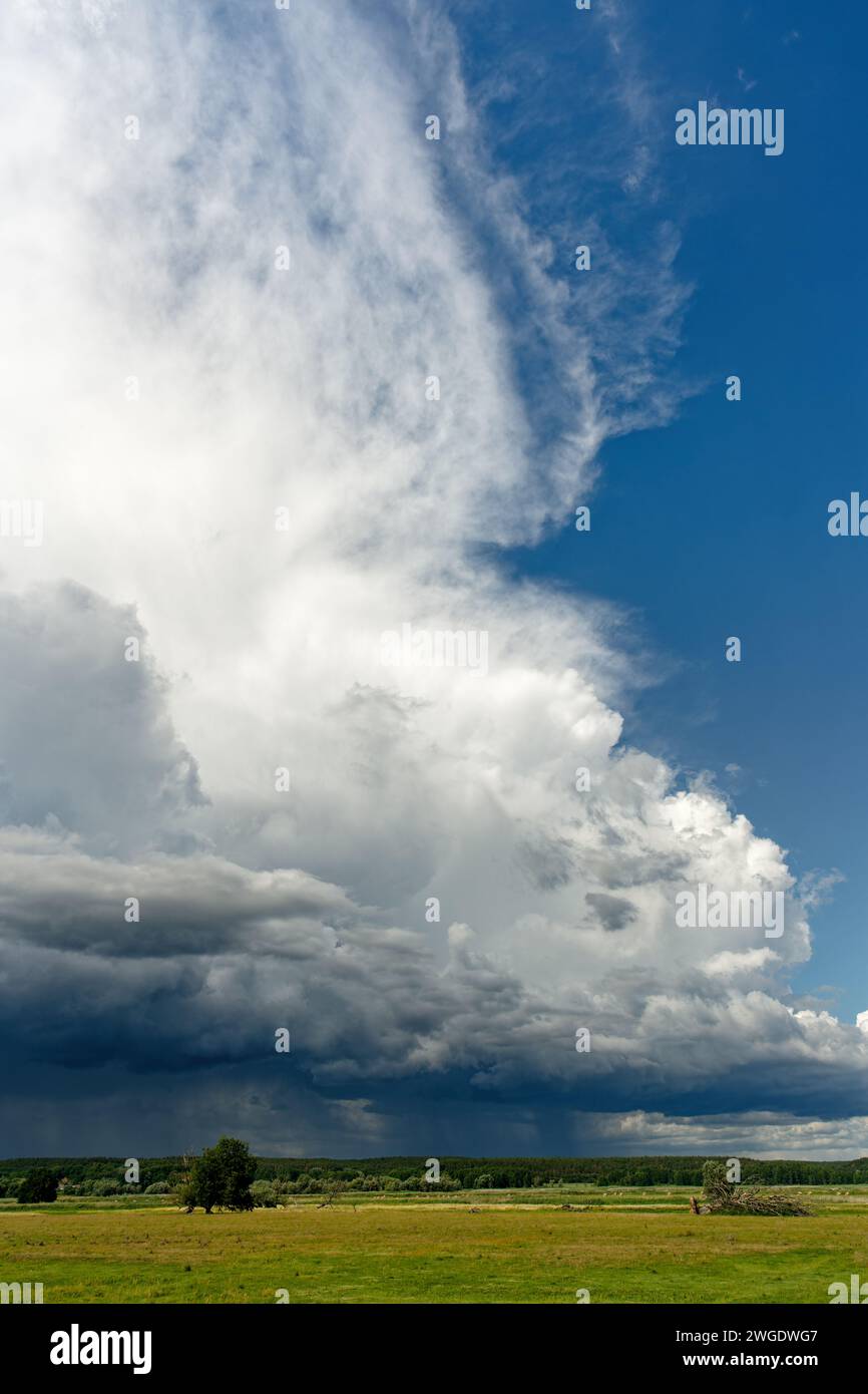 Violent thunderstorm front with threatening cloud formation, from which partly rain falls, over a flat floodplain landscape with meadows and tree Stock Photo