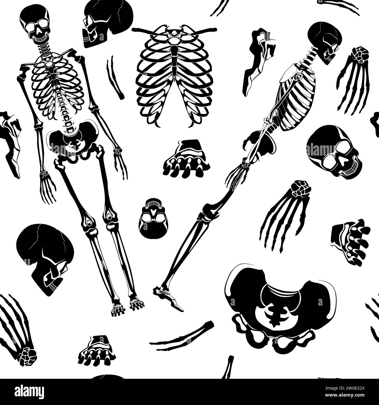 Skeleton Pattern Skull And Bones Set In Seamless Background Stock Vector Image And Art Alamy