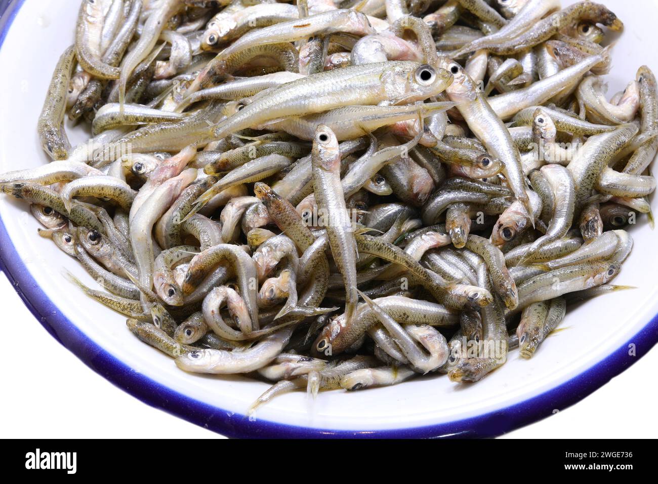 dish with many caught fish called sand smelt of  the family Atherinidae  are very appreciated in the Italian and mediterranean cuisine Stock Photo