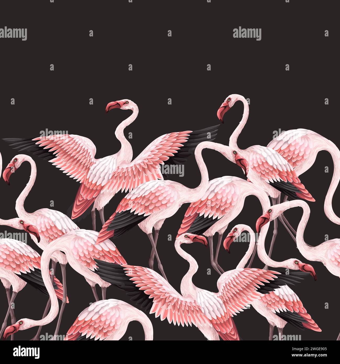 Border with pink flamingos. Vector Stock Vector Image & Art - Alamy