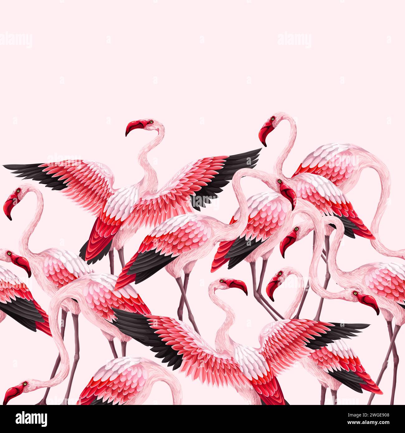Border with pink flamingos. Vector Stock Vector Image & Art - Alamy