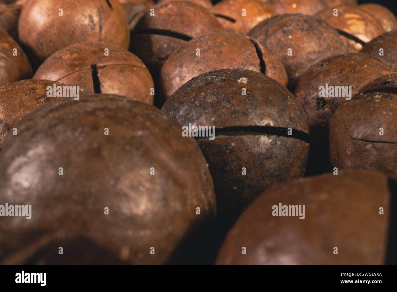Macadamia nut in a shell close up. Macadamia nuts texture background. Macadamia nuts macro. Stock Photo