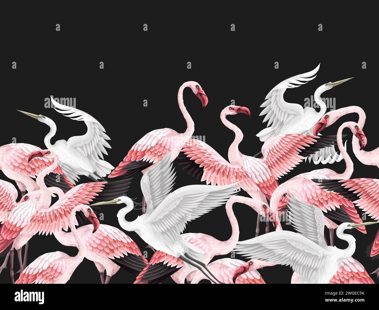Border with pink flamingos and white herons. Vector Stock Vector Image ...