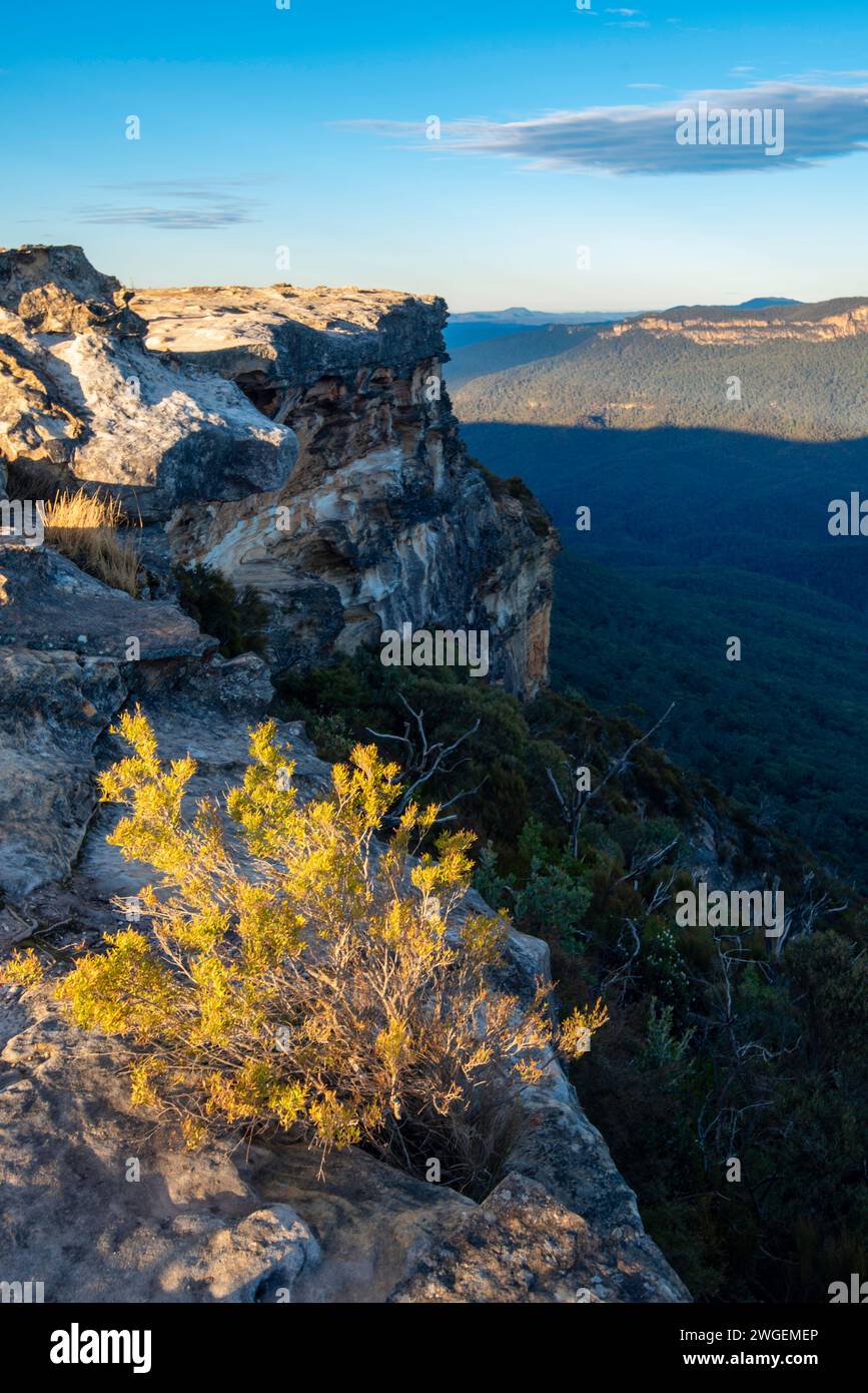 A Blue Mountains dawn view across the Jamison Valley to Mt Solitary, New South Wales, from Lincoln's Rock in Australia Stock Photo