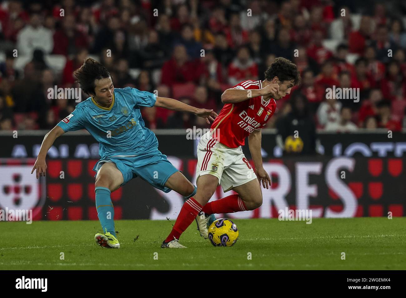 Lisbon, Portugal. 04th Feb, 2024. Lisbon, 01/04/2024 - Sport Lisboa e Benfica hosted Gil Vicente Futebol Clube this afternoon at the Estádio da Luz in Lisbon, in a game counting for the twentieth round of the Primeira Liga 2024. Fujimoto; João Neves (Pedro Rocha/Global Imagens) Credit: Atlantico Press/Alamy Live News Stock Photo