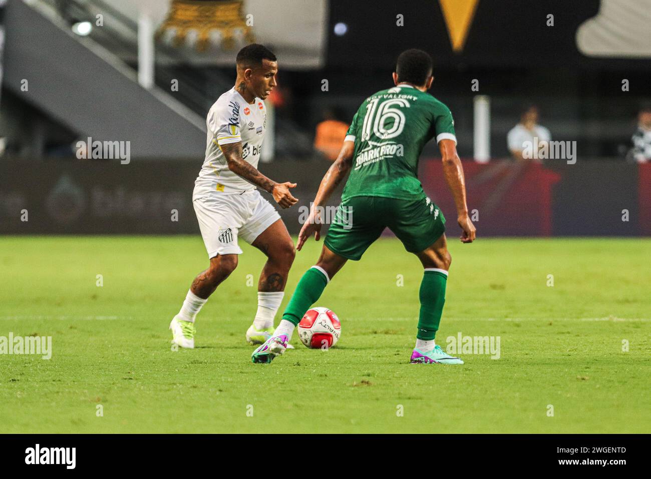 Santos Brazil 04th Feb 2024 SP SANTOS 02 04 2024 PAULISTA   Santos Brazil 04th Feb 2024 Sp Santos 02042024 Paulista 2024 Santos Photo By Reinaldo Camposagifsipa Usa Credit Sipa Usaalamy Live News 2WGENTD 