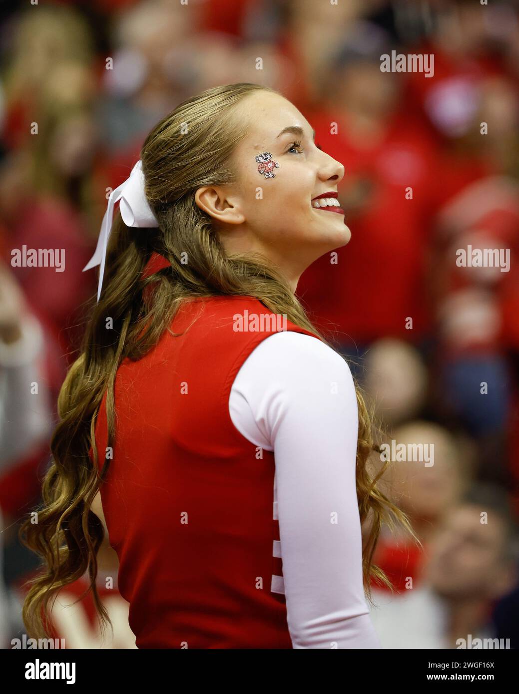 Madison, WI, USA. 4th Feb, 2024. Wisconsin Badgers Cheerleader during the NCAA basketball game between the Purdue Boilermakers and the Wisconsin Badgers at the Kohl Center in Madison, WI. Darren Lee/CSM (Credit Image: © Darren Lee/Cal Sport Media). Credit: csm/Alamy Live News Stock Photo
