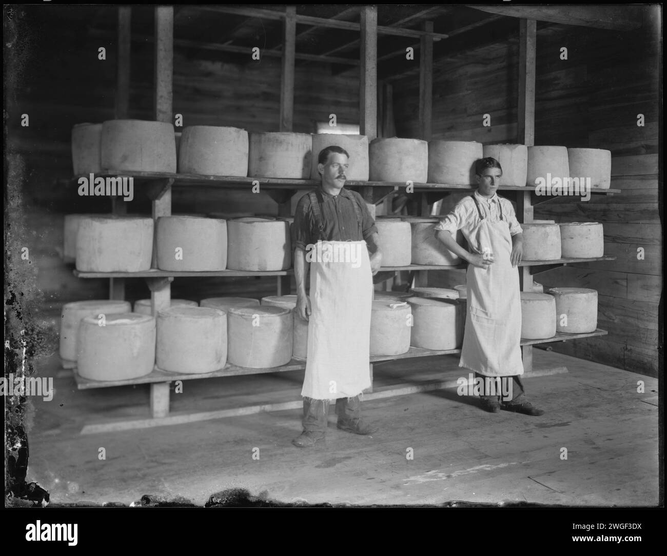 Inside the cheese factory, Eastern Ontario, between 1895 and 1910 Stock